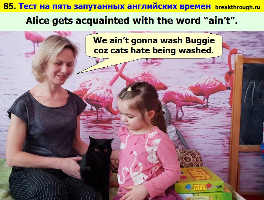 ,      Alice, we ain't gonna wash Buggie