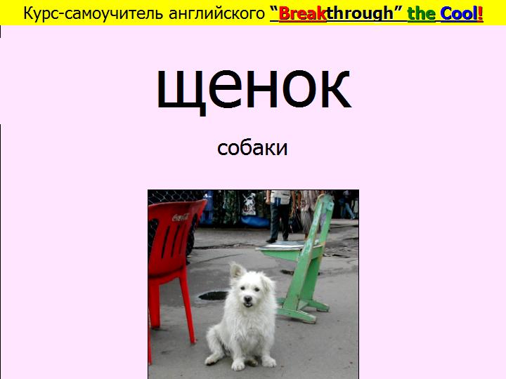 BTC English School