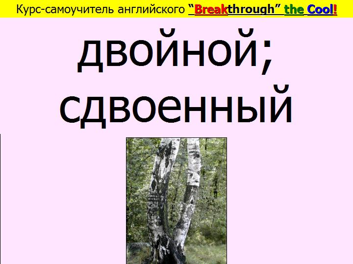 BTC English School