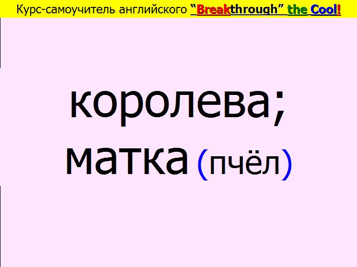 BTC English School