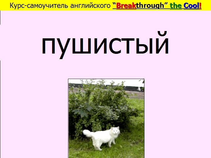BTC English School