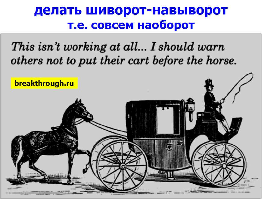 11     -  idiom don't do not put the cart before the horse