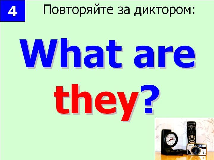 BTC English School