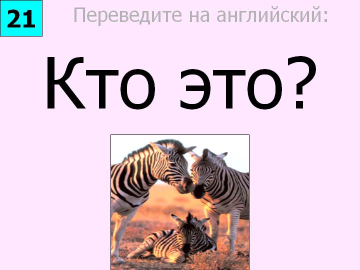 BTC English School