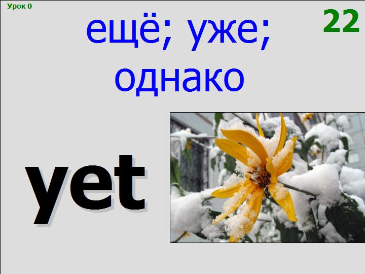 BTC English School