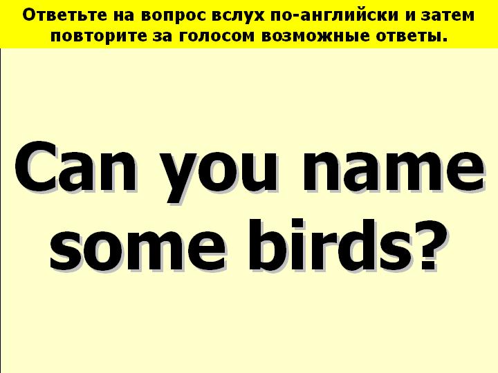 BTC English School