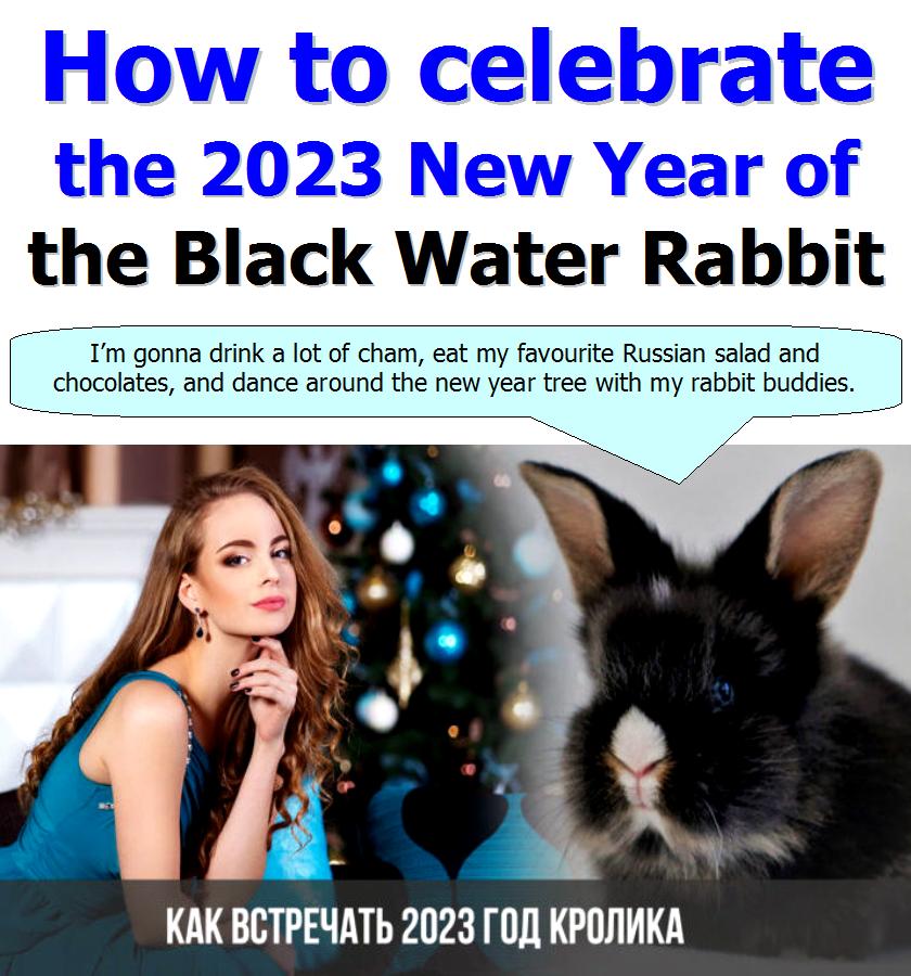 2023     Black Water Rabbit