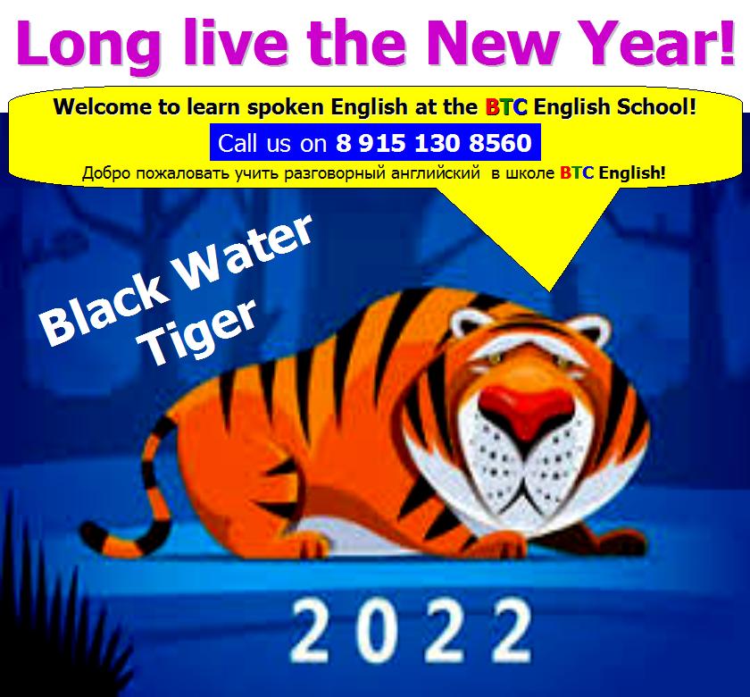 Новый 2022 год Черного Водяного Тигра Black Water Tiger