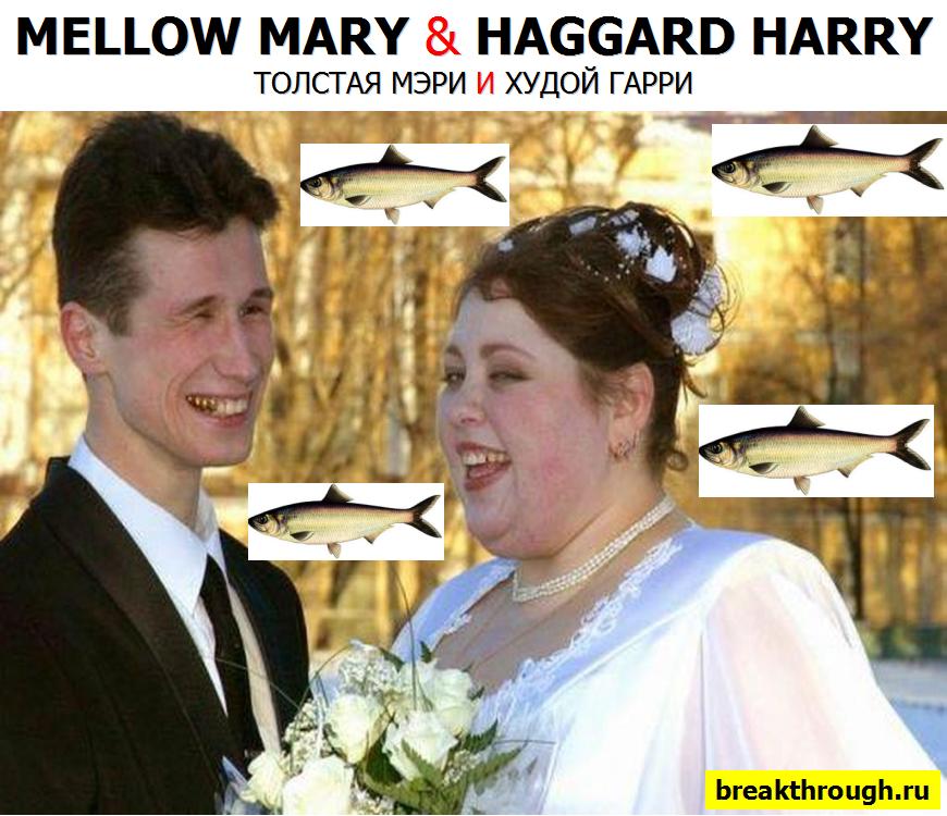 Mellow Mary and haggard Harry Tongue twister Толстая Мэри и худой Гарри скороговорка на английском языке по-английски in English