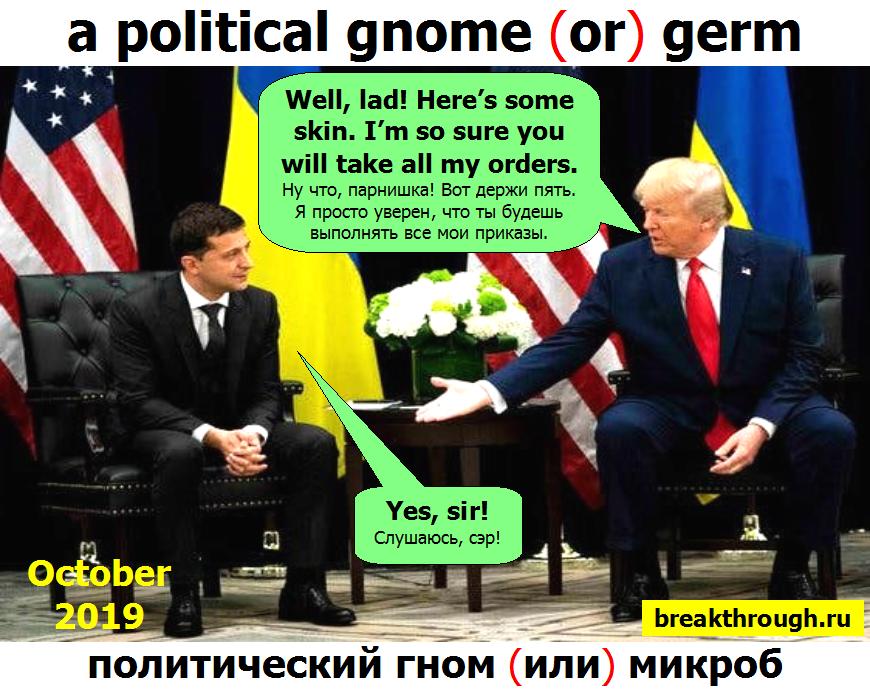 политическая букашка политический гном гномик микроб клоун Владимир Зеленский президент Украины 2019 2024
