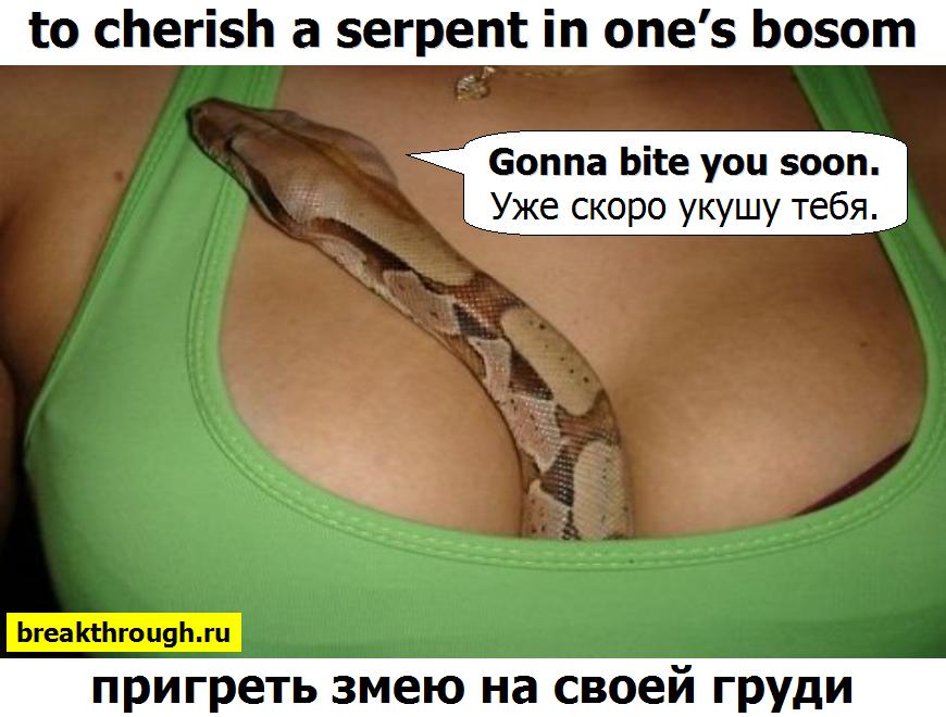 пригреть змею гадюку у себя на своей груди шее за пазухой