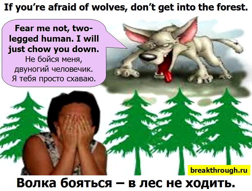 Волков волка бояться в лес не ходить соваться