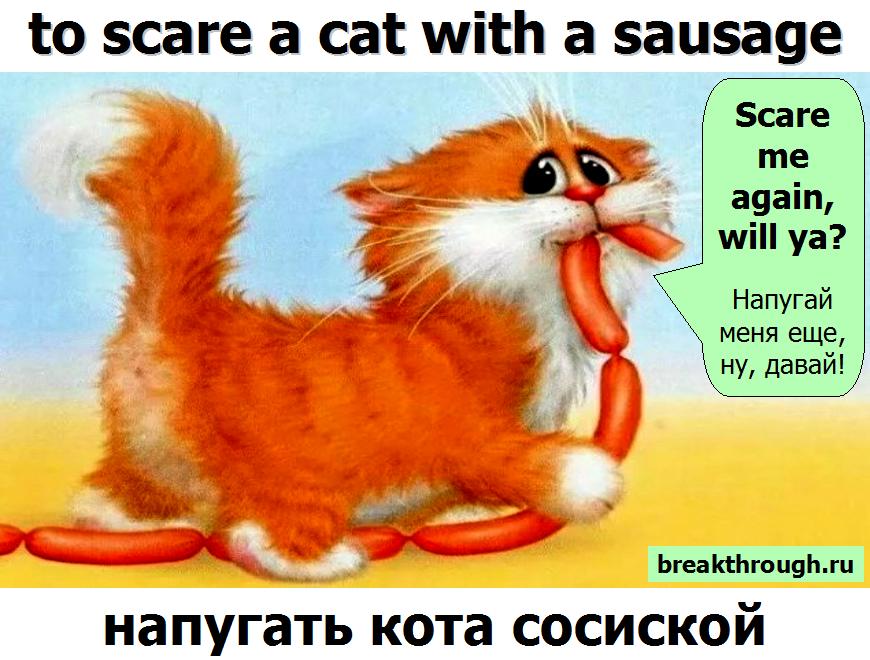 напугать испугать удивить кота сосиской сметаной