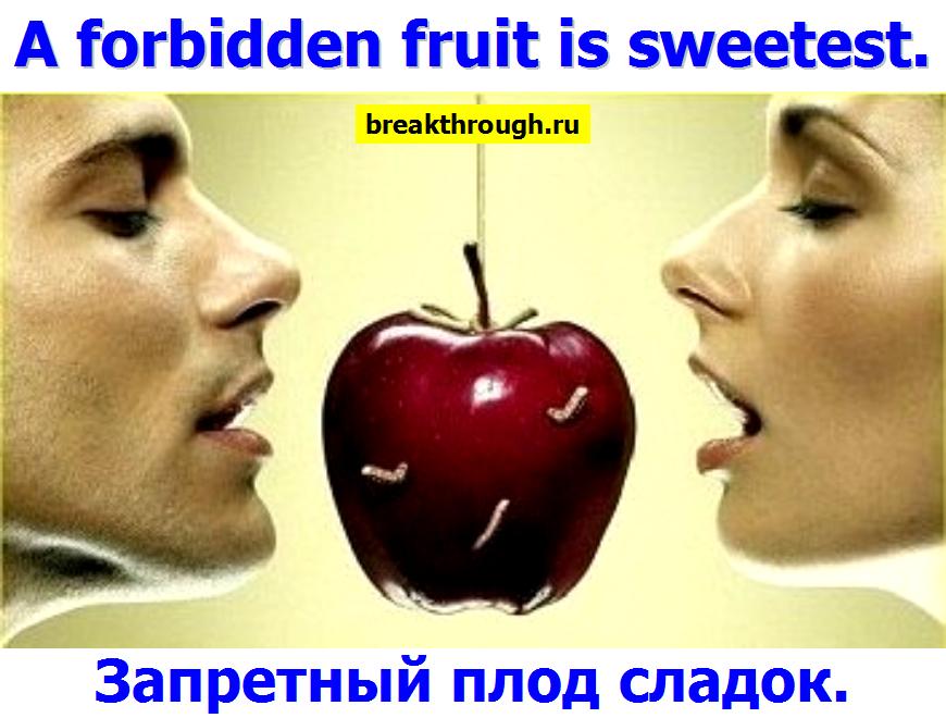 Запретный плод всегда сладок а человек падок