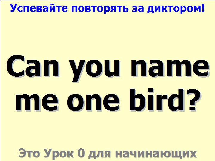 BTC English School
